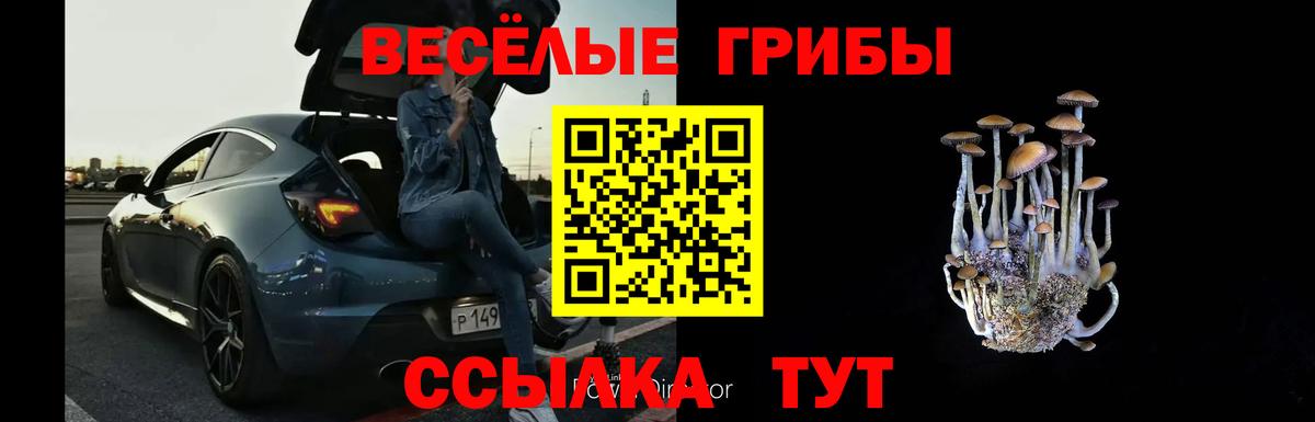 Лабинск  Псилоцибиновые грибы прущие грибы  Вход с VPN 